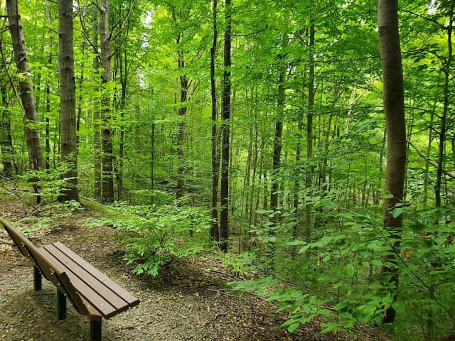 Shaw Woods Park - Image 2