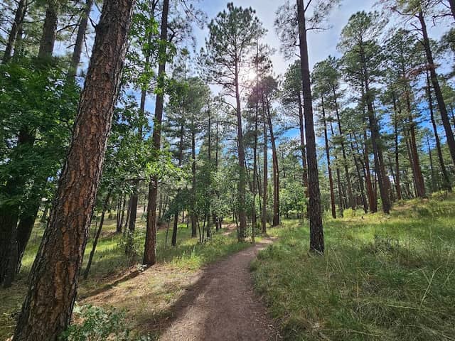 Cedar Creek Trails - Image 3