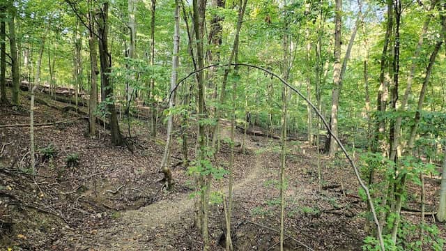 Mohican Mountain Bike Trail - Image 1