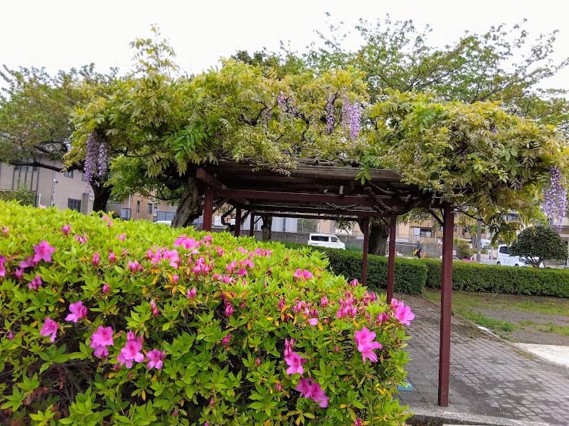 Maeda Park - Image 2