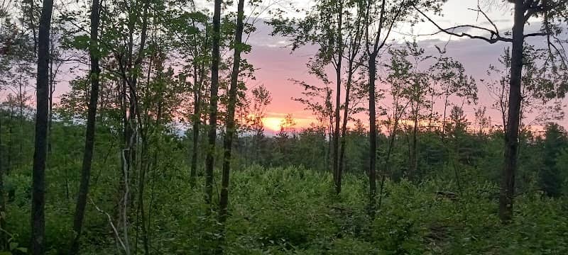 Mio Mountain Valley Camping Experience - Image 1