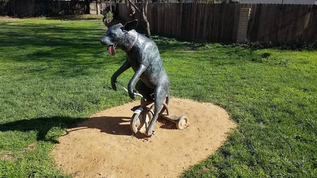 Dog on tricycle - Image 1