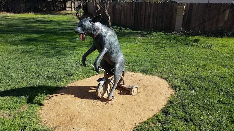 Dog on tricycle - Image 1