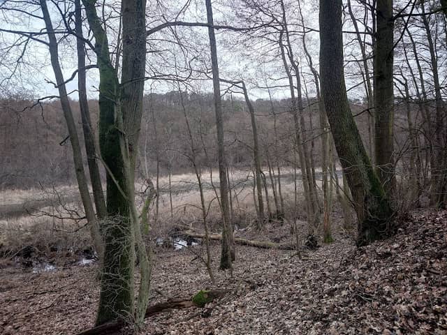 Jezioro Budzyńskie - Image 1