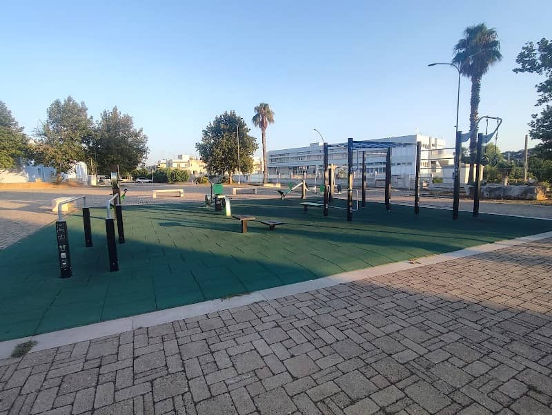Calisthenics Park - Image 1