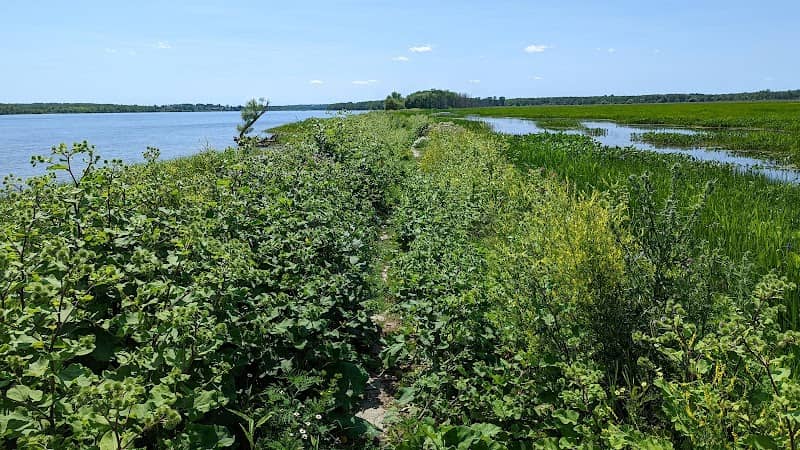 Marais des Laiches - Image 2