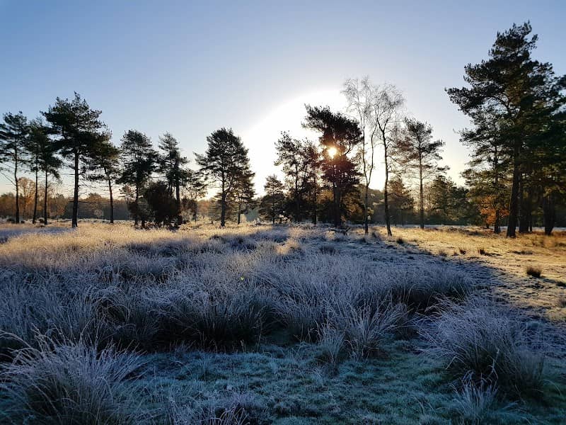 Stoke Common (East) - Image 1