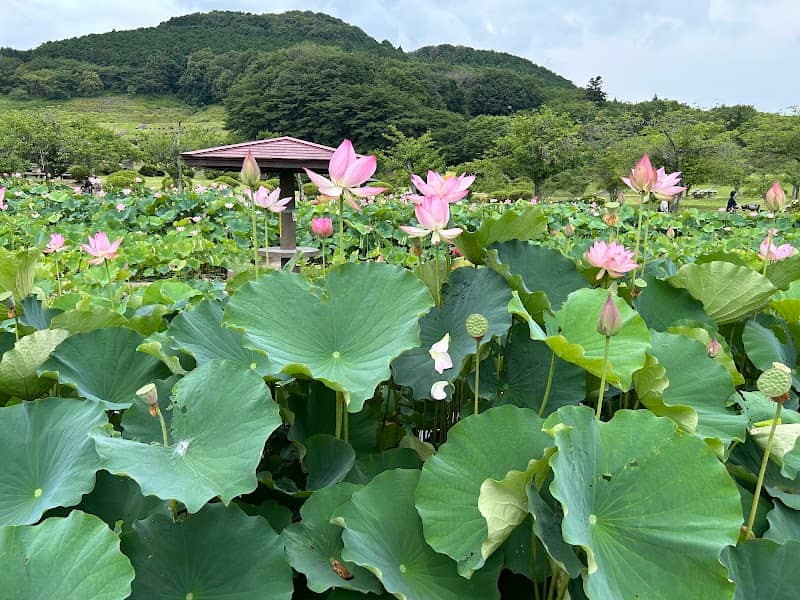 Tsuga no Sato - Image 1
