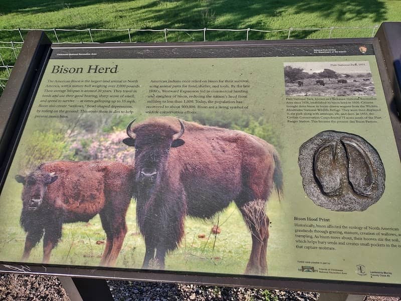 Bison Pasture Viewpoint - Image 1