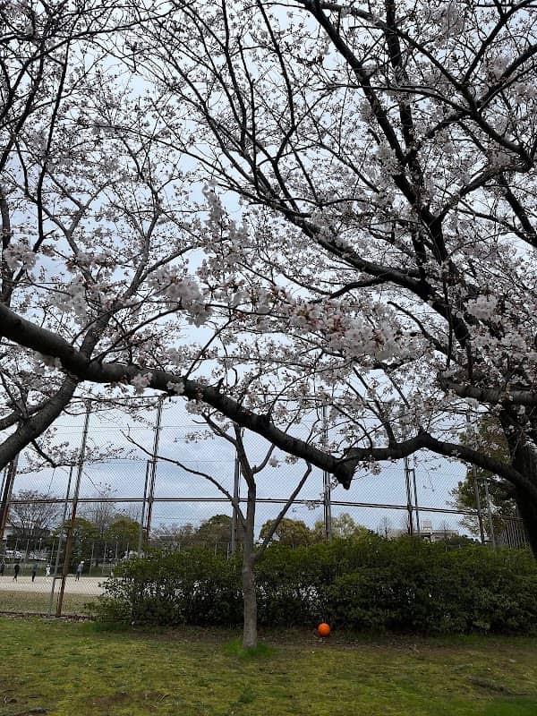 Kuzuhara Park - Image 1