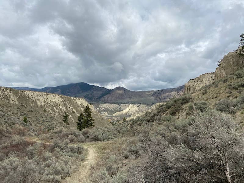 Dallas-Barnhartvale Nature Park - Image 2