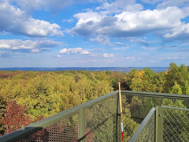 Mount Davis Observation Tower - Image 2