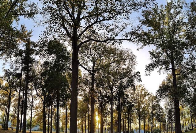 Landis Park - Image 3