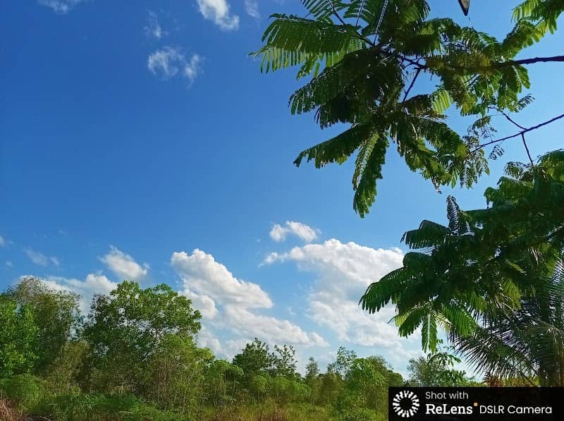 Padang Rumput Savana - Image 1