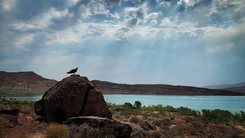 Quail Creek State Park - Image 1