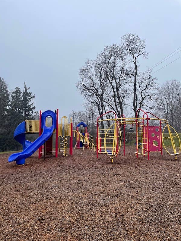 Lion's Park - Image 2
