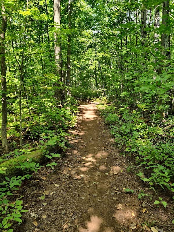 Lake Superior Trail Trailhead - Image 2