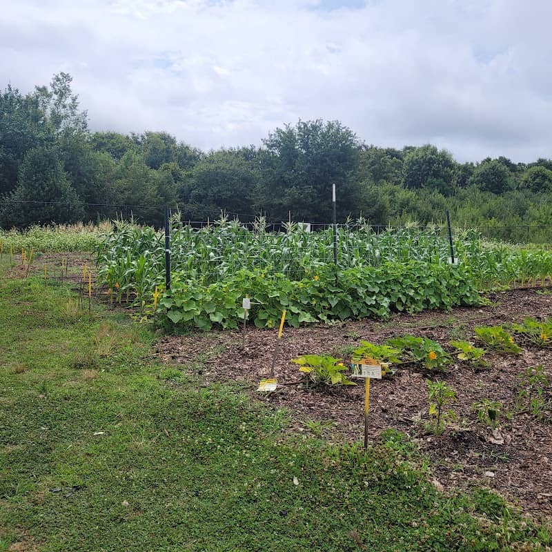 UGA Extension Rockdale County Plant-a-Row Demonstration Garden - Image 1