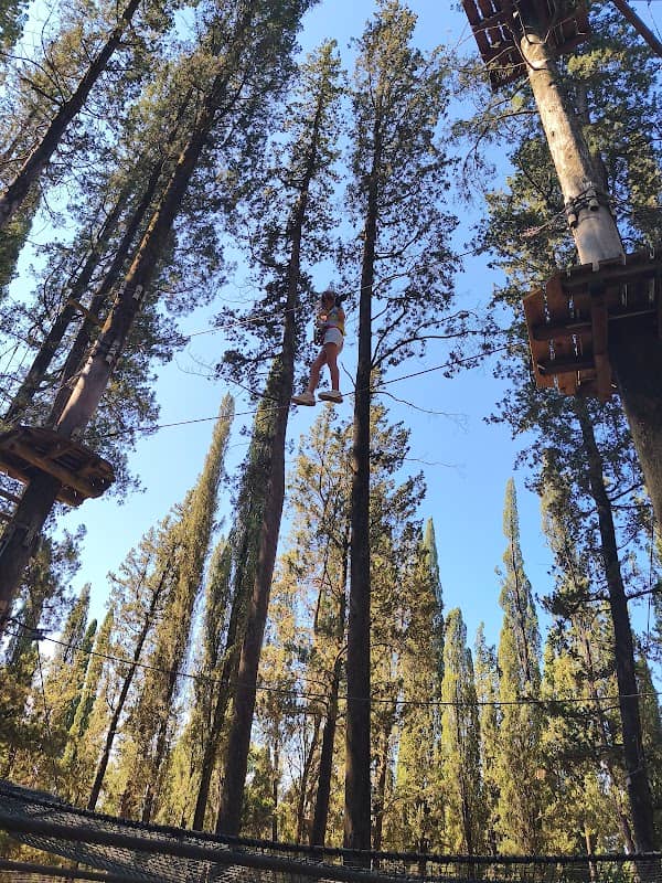 Vincigliata Adventure Park - Image 2
