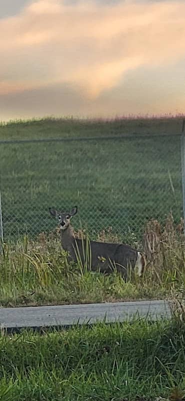 Smelt Brook East Trail head - Image 1