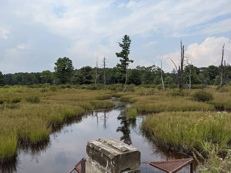 Wallace Sphagnum Bog - Image 2