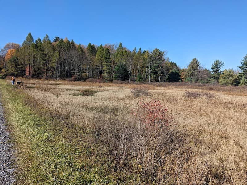 Wallace Sphagnum Bog - Image 1