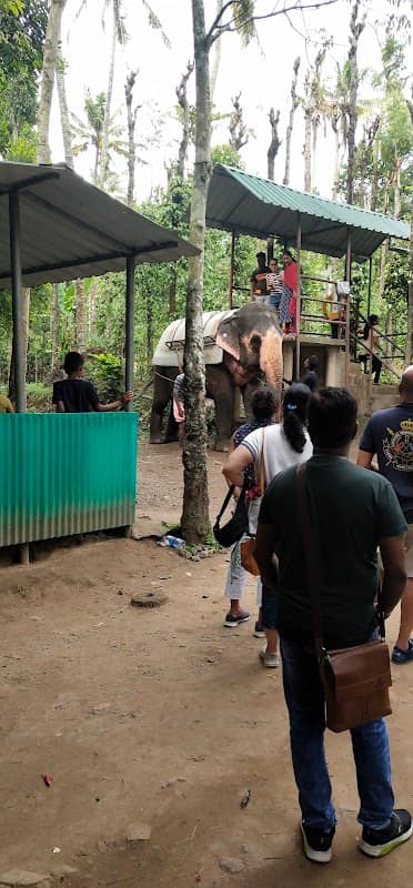 ELEPHANT SAFARI THEKKADY & TUSKER TRAIL THEKKADY - Image 3