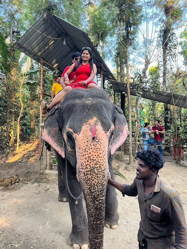 ELEPHANT SAFARI THEKKADY & TUSKER TRAIL THEKKADY - Image 1