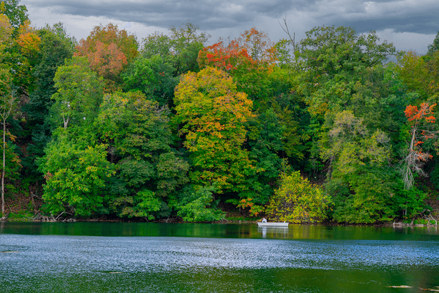 Pinhook Park - Image 1