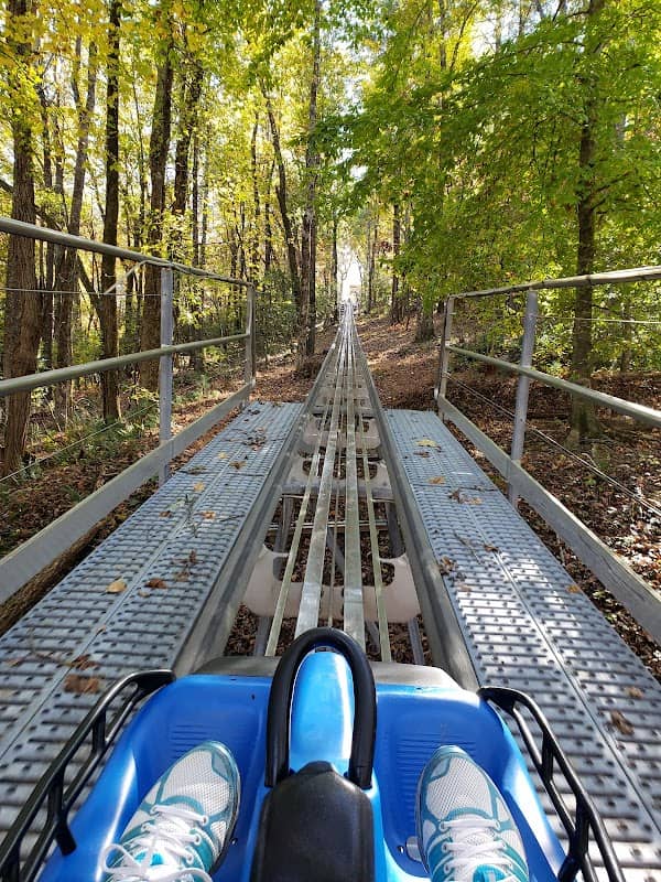 Georgia Mountain Coaster - Image 2