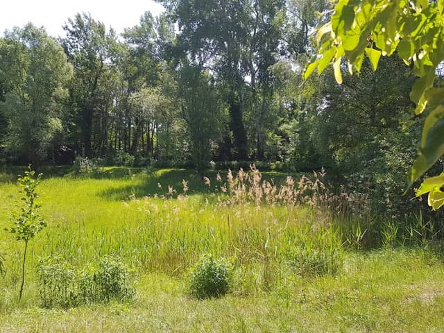 Am Schillerteich - Image 1