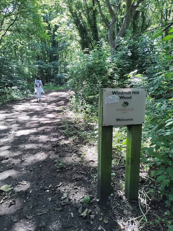 Windmill Hill Wood - Image 1