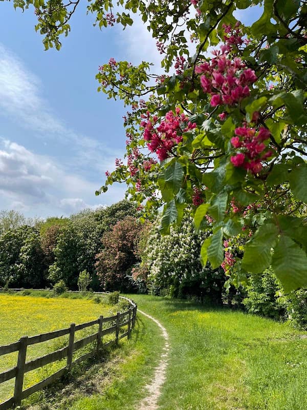 Darenth Country Park - Image 1