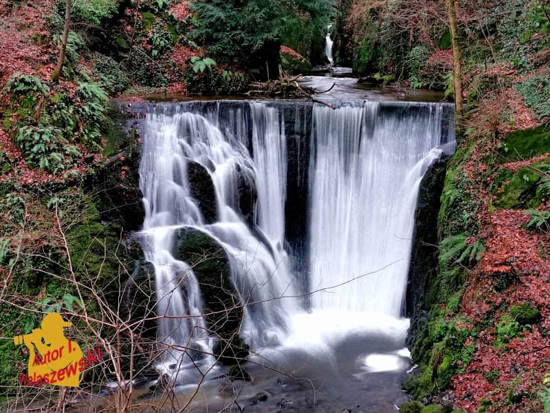 Alva Glen - Image 1