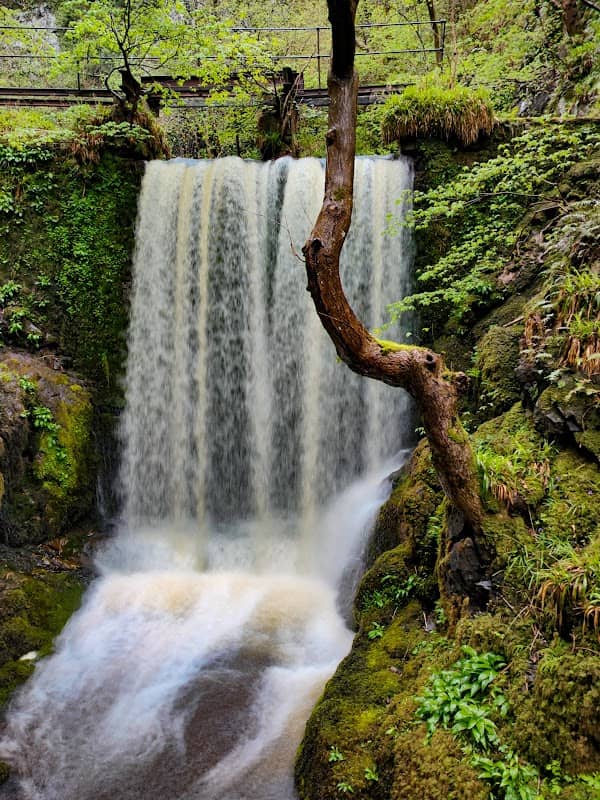 Alva Glen - Image 2