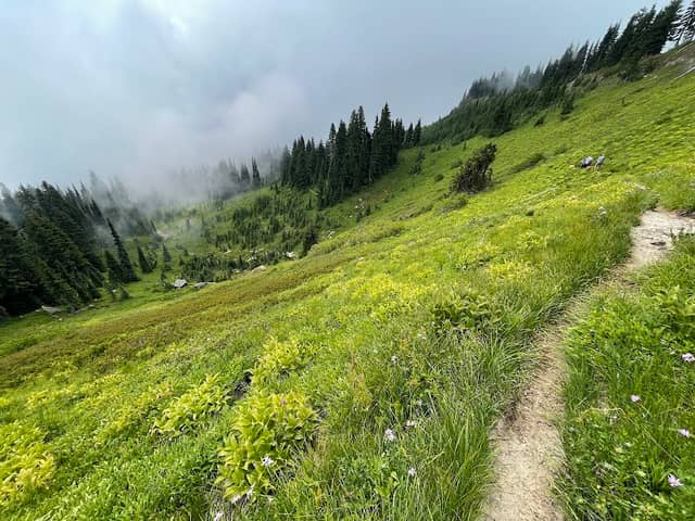 Tatoosh Wilderness - Image 1