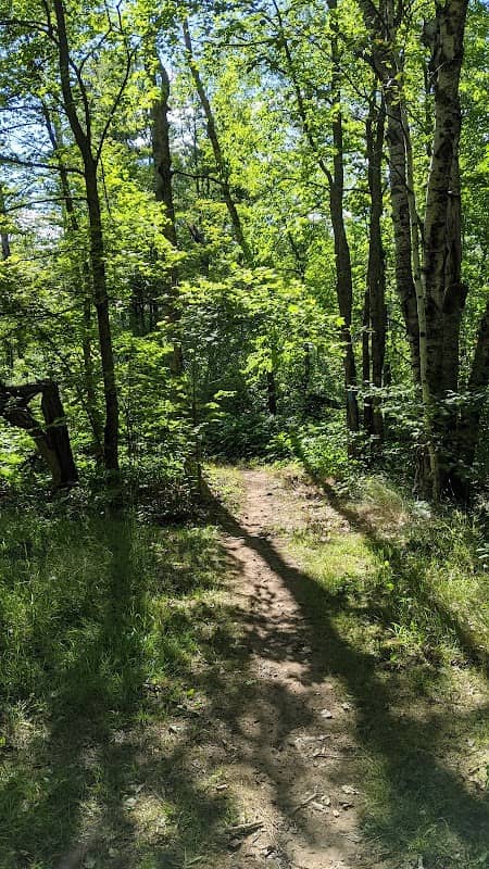 Morley Heights Park - Image 2