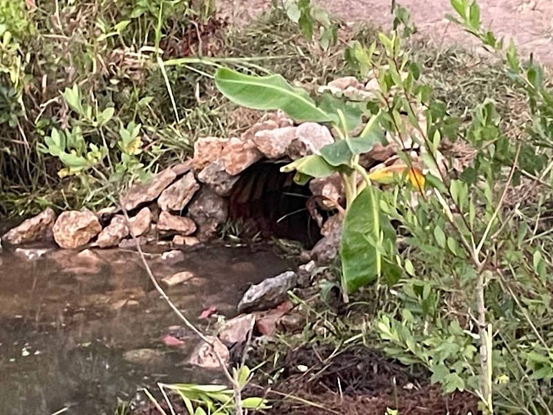 Cottonwood Creek Nature Preserve - Image 2