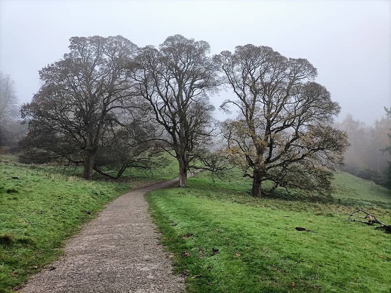 Hawarden Old Park - Image 1