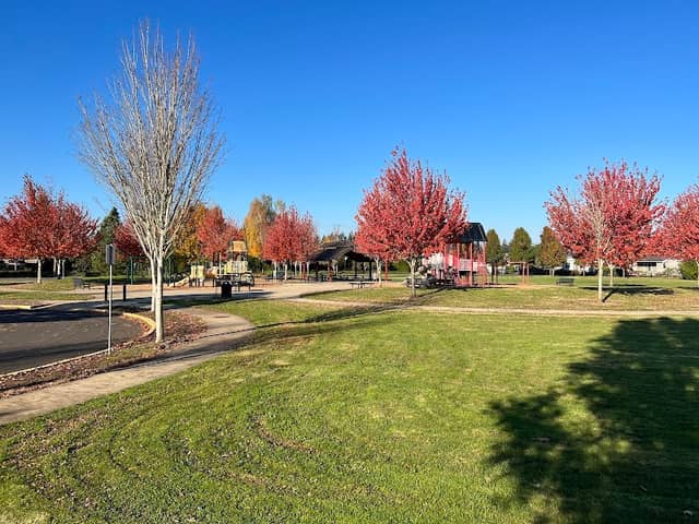 Chegwyn Farms Neighborhood Park - Image 1
