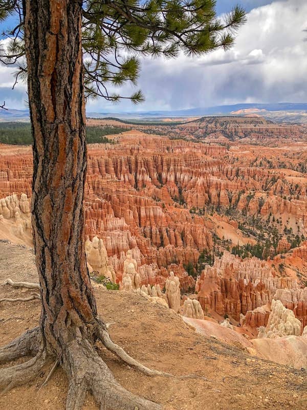 Bryce Canyon National Park Sunrise Point - Image 3