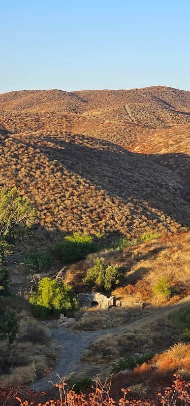 Mine gold lake elsinore - Image 2