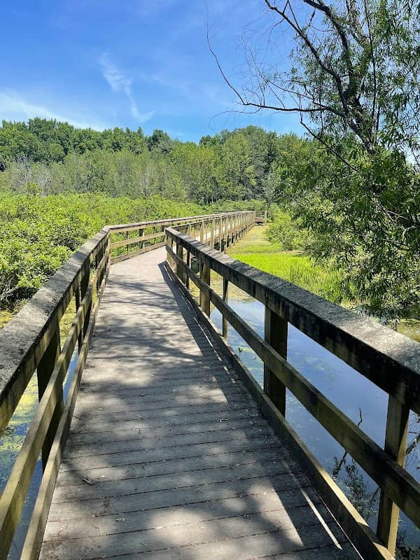 Audubon Wetlands Trail - Image 3