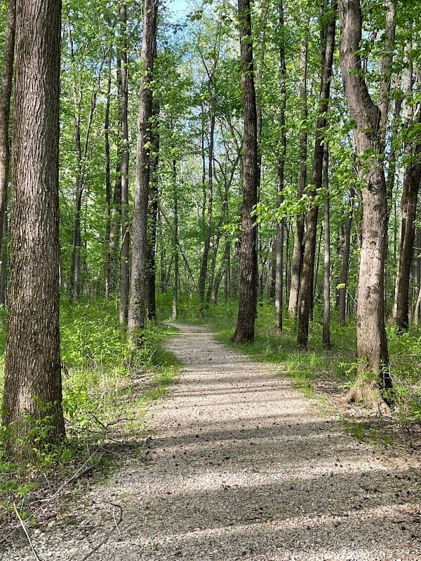 Audubon Wetlands Trail - Image 2