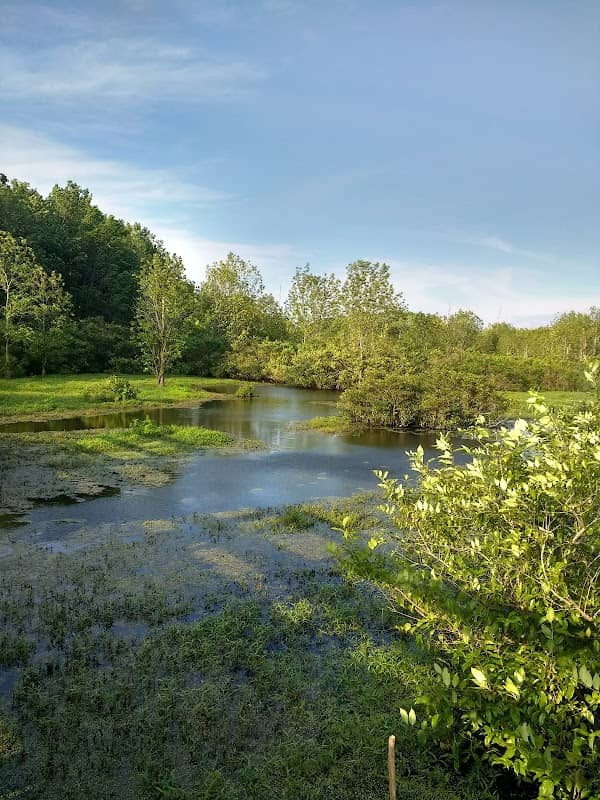 Audubon Wetlands Trail - Image 1