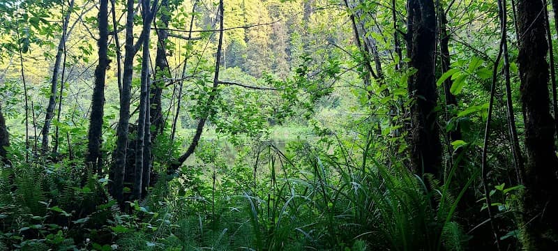 Marshall Pond - Image 2