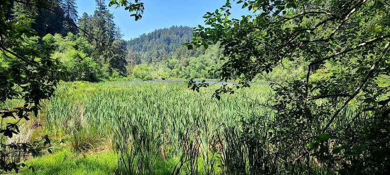 Marshall Pond - Image 1