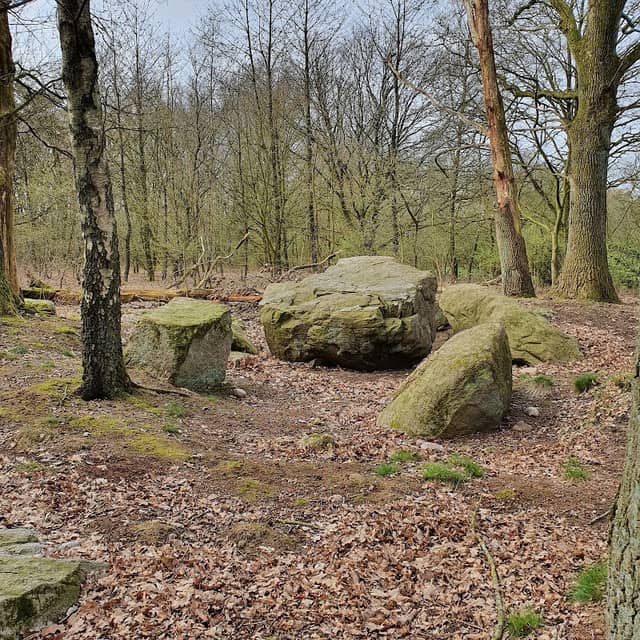 Großsteingrab Wenzendorf - Image 1