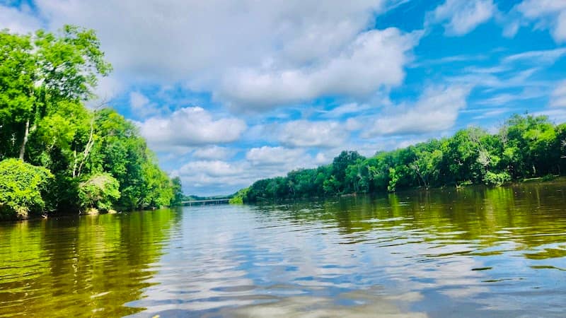 Cape Fear River Adventures - Image 2