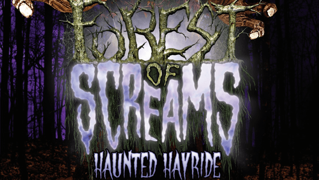 Forest Of Screams - Image 1